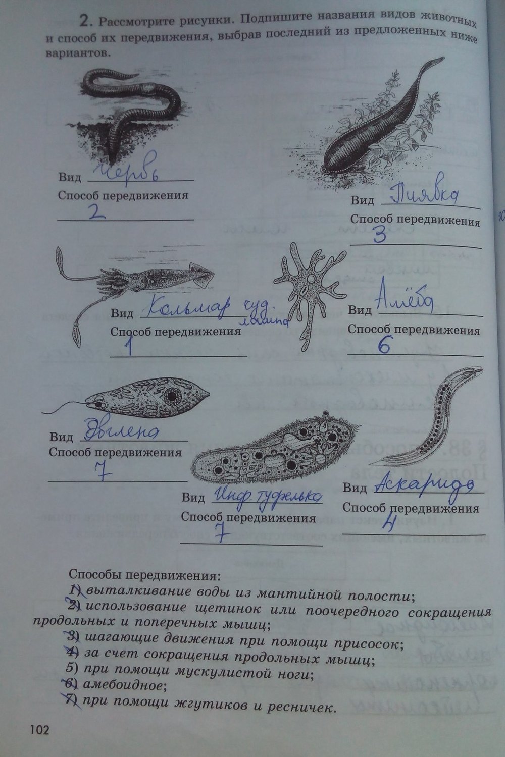гдз 7 класс рабочая тетрадь страница 102 биология Латюшин, Ламехова