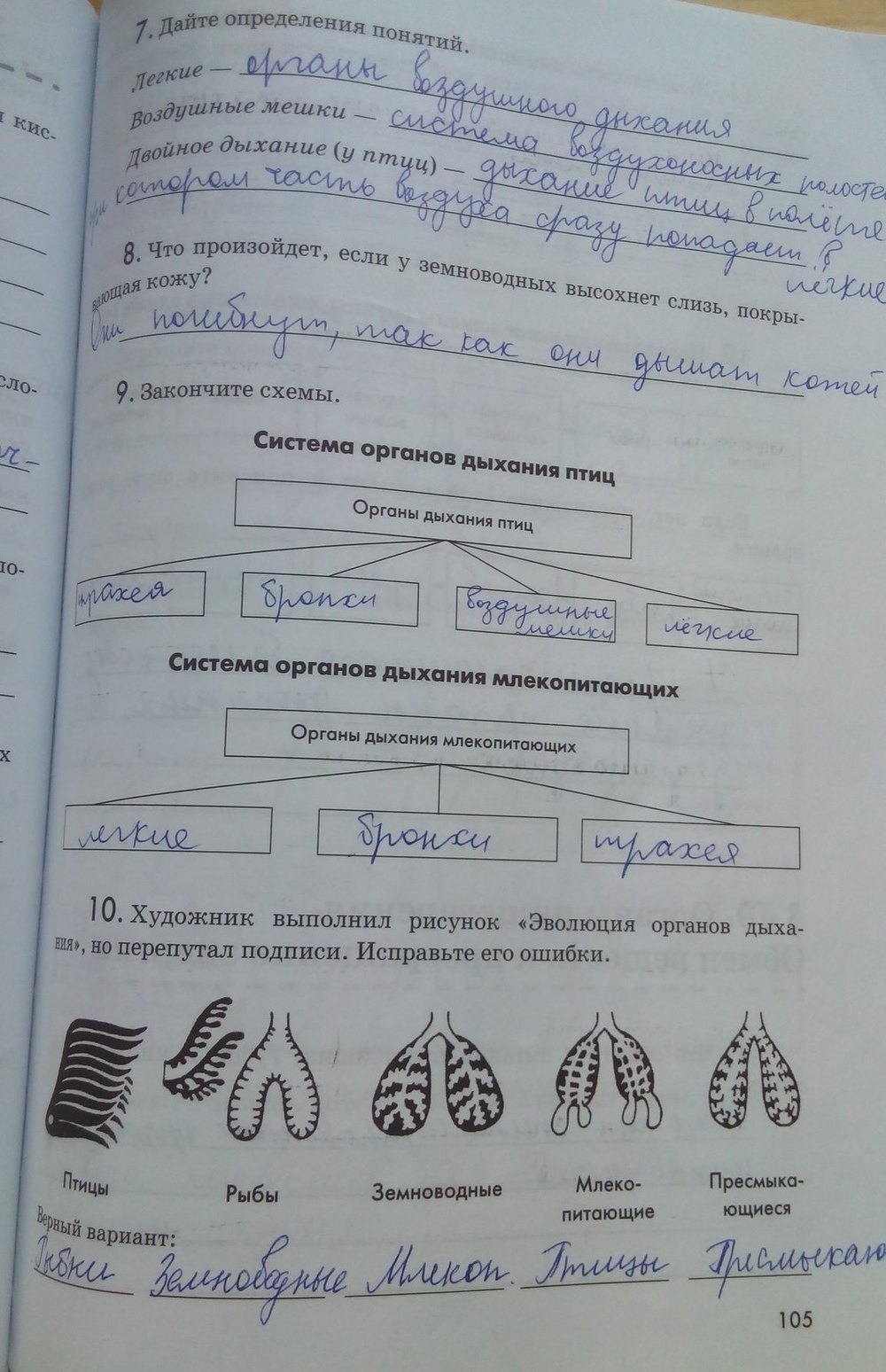 гдз 7 класс рабочая тетрадь страница 105 биология Латюшин, Ламехова