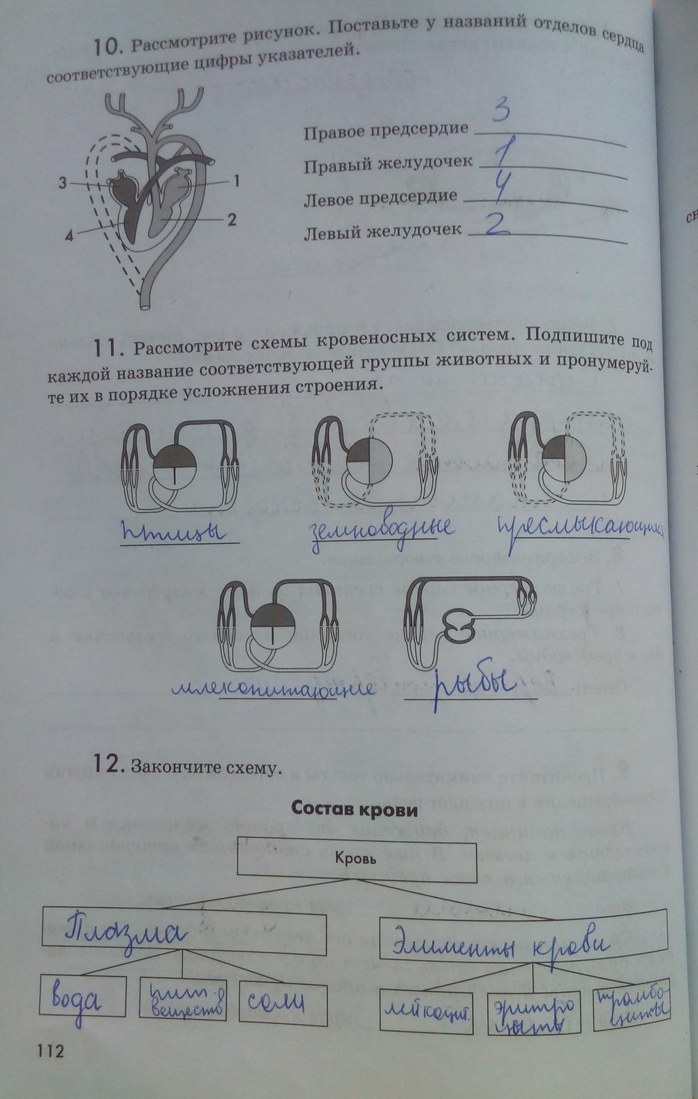 гдз 7 класс рабочая тетрадь страница 112 биология Латюшин, Ламехова