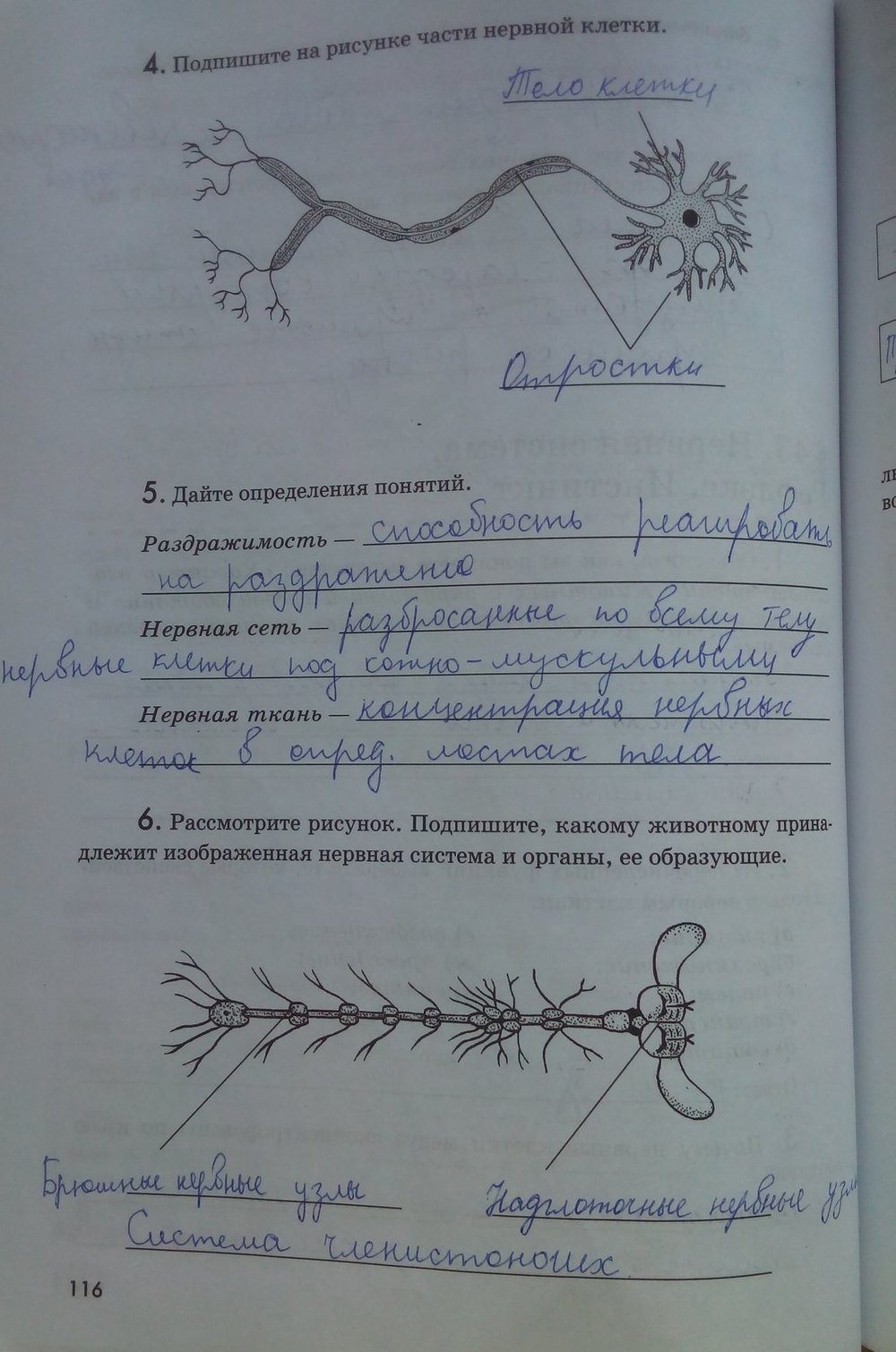 гдз 7 класс рабочая тетрадь страница 116 биология Латюшин, Ламехова