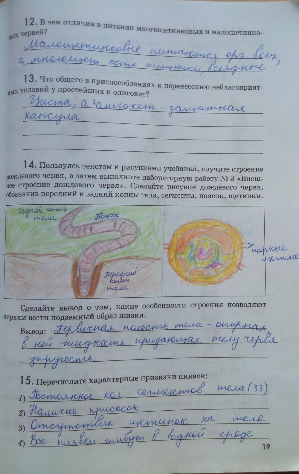 гдз 7 класс рабочая тетрадь страница 19 биология Латюшин, Ламехова