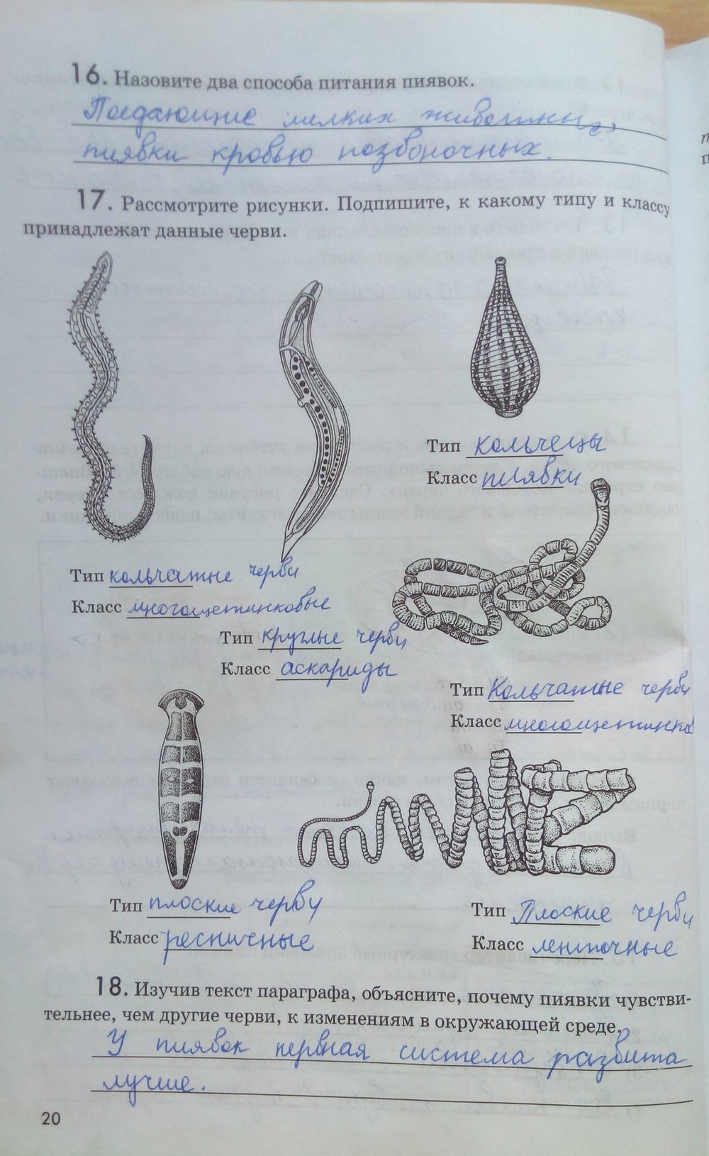 гдз 7 класс рабочая тетрадь страница 20 биология Латюшин, Ламехова
