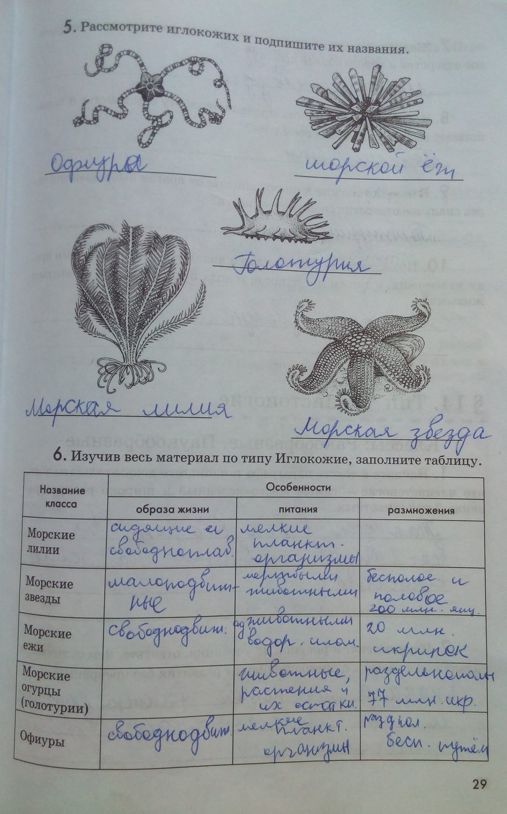 гдз 7 класс рабочая тетрадь страница 29 биология Латюшин, Ламехова