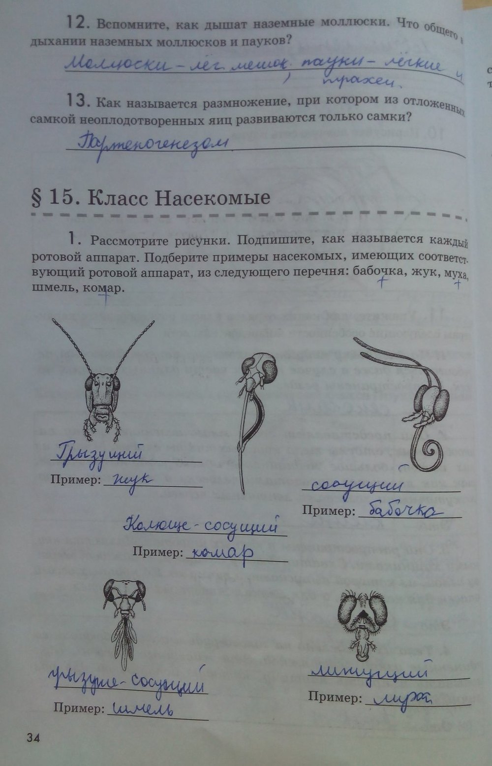 гдз 7 класс рабочая тетрадь страница 34 биология Латюшин, Ламехова