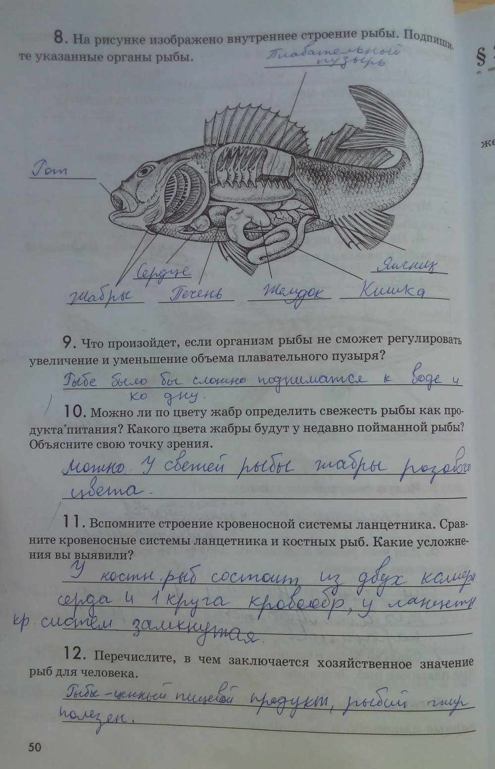 гдз 7 класс рабочая тетрадь страница 50 биология Латюшин, Ламехова
