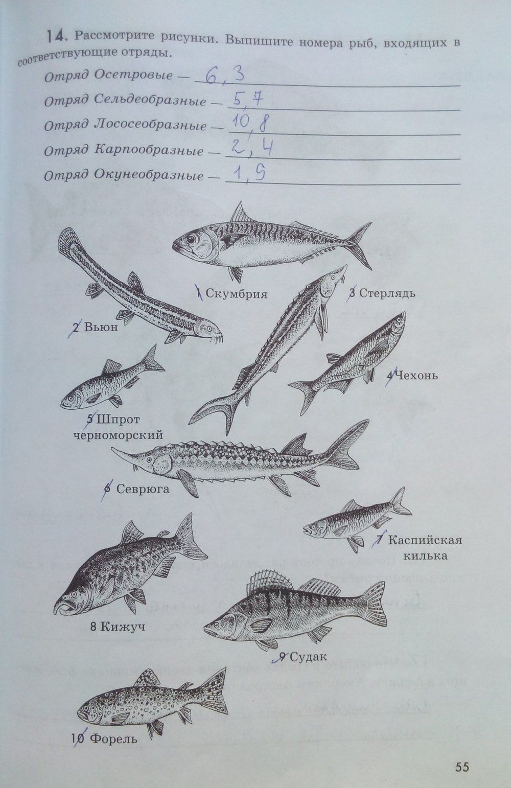 гдз 7 класс рабочая тетрадь страница 55 биология Латюшин, Ламехова