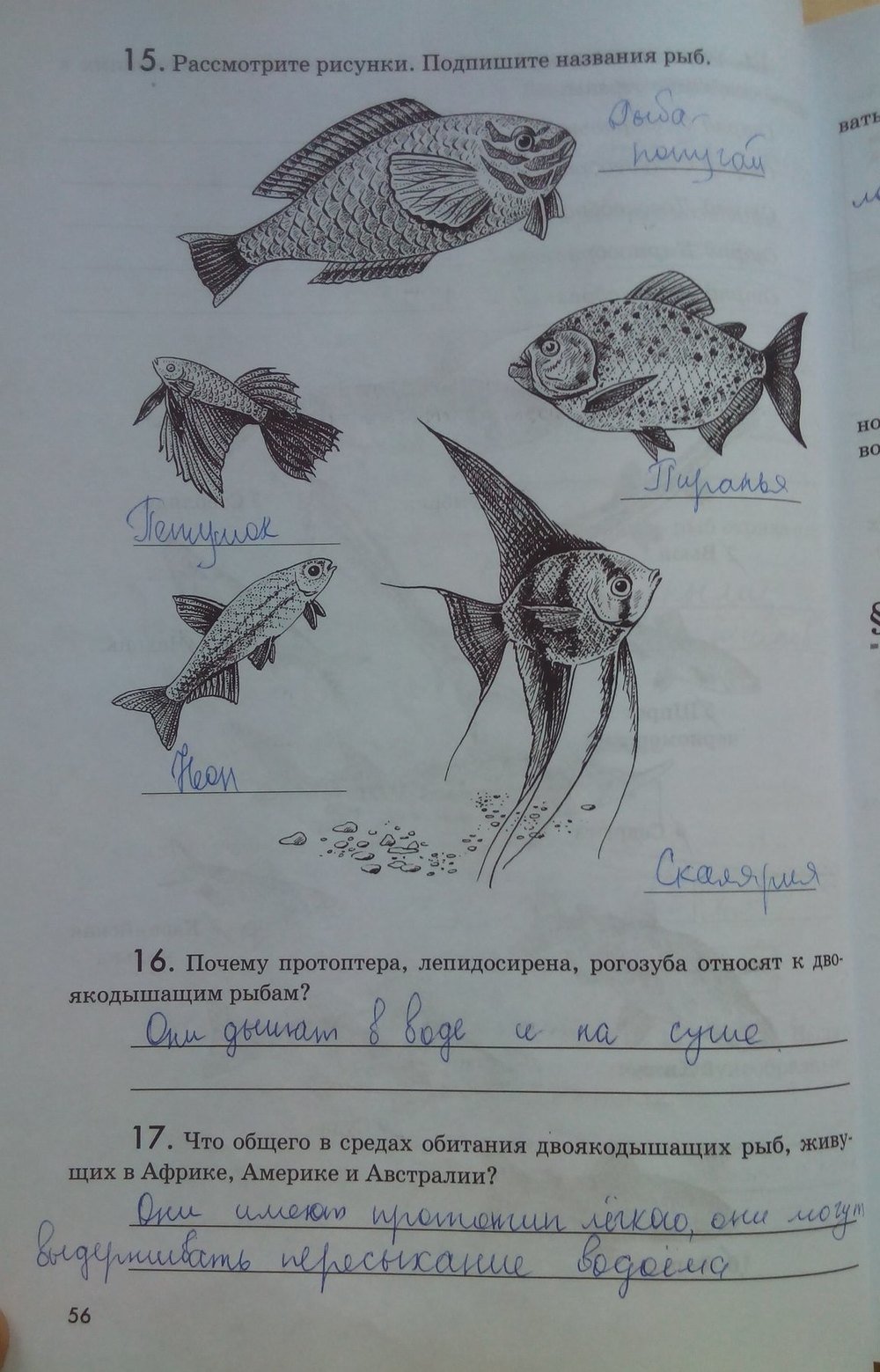 гдз 7 класс рабочая тетрадь страница 56 биология Латюшин, Ламехова