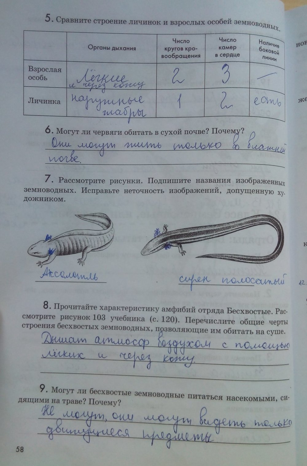 гдз 7 класс рабочая тетрадь страница 58 биология Латюшин, Ламехова