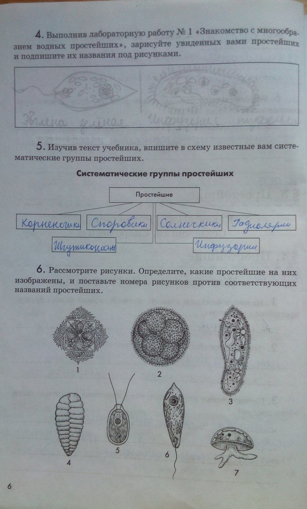 гдз 7 класс рабочая тетрадь страница 6 биология Латюшин, Ламехова