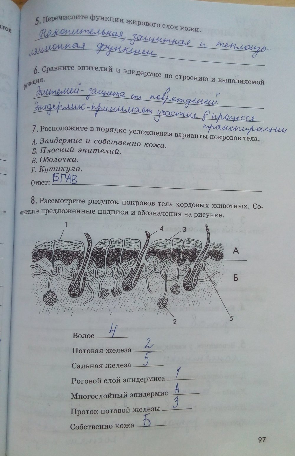 гдз 7 класс рабочая тетрадь страница 97 биология Латюшин, Ламехова