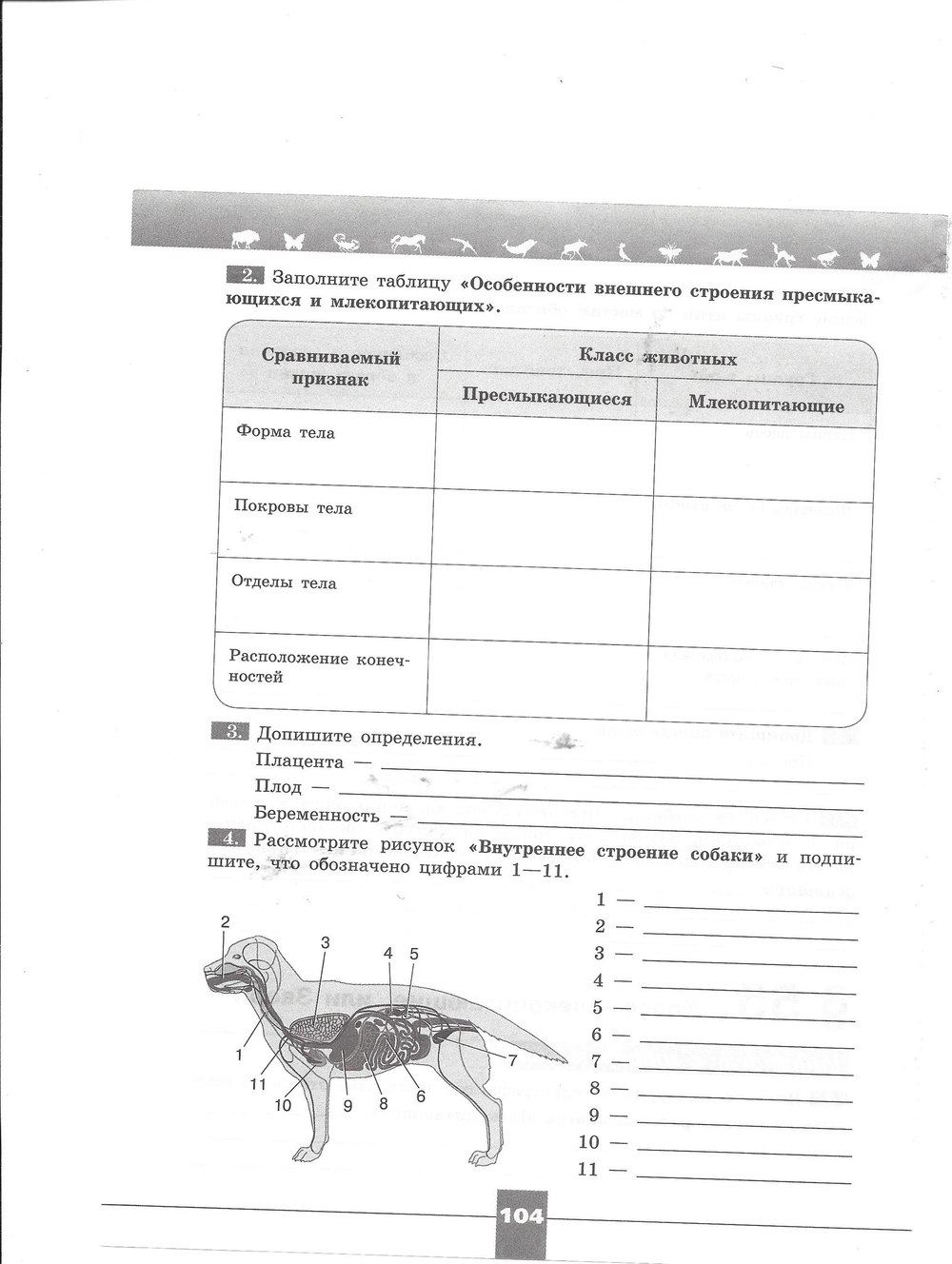 гдз 7 класс рабочая тетрадь страница 104 биология Пасечник, Швецов