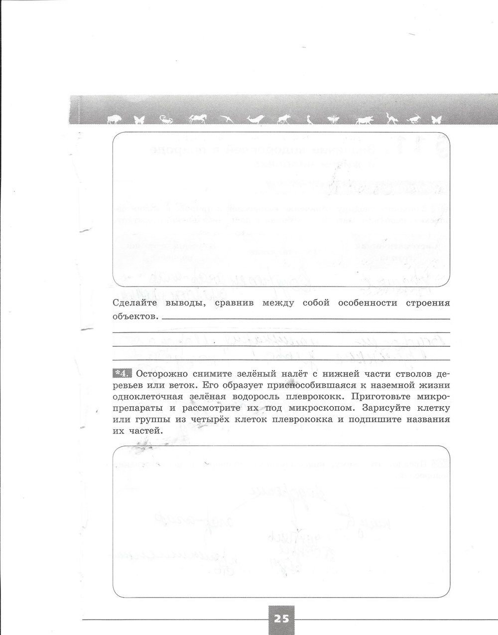 гдз 7 класс рабочая тетрадь страница 25 биология Пасечник, Швецов