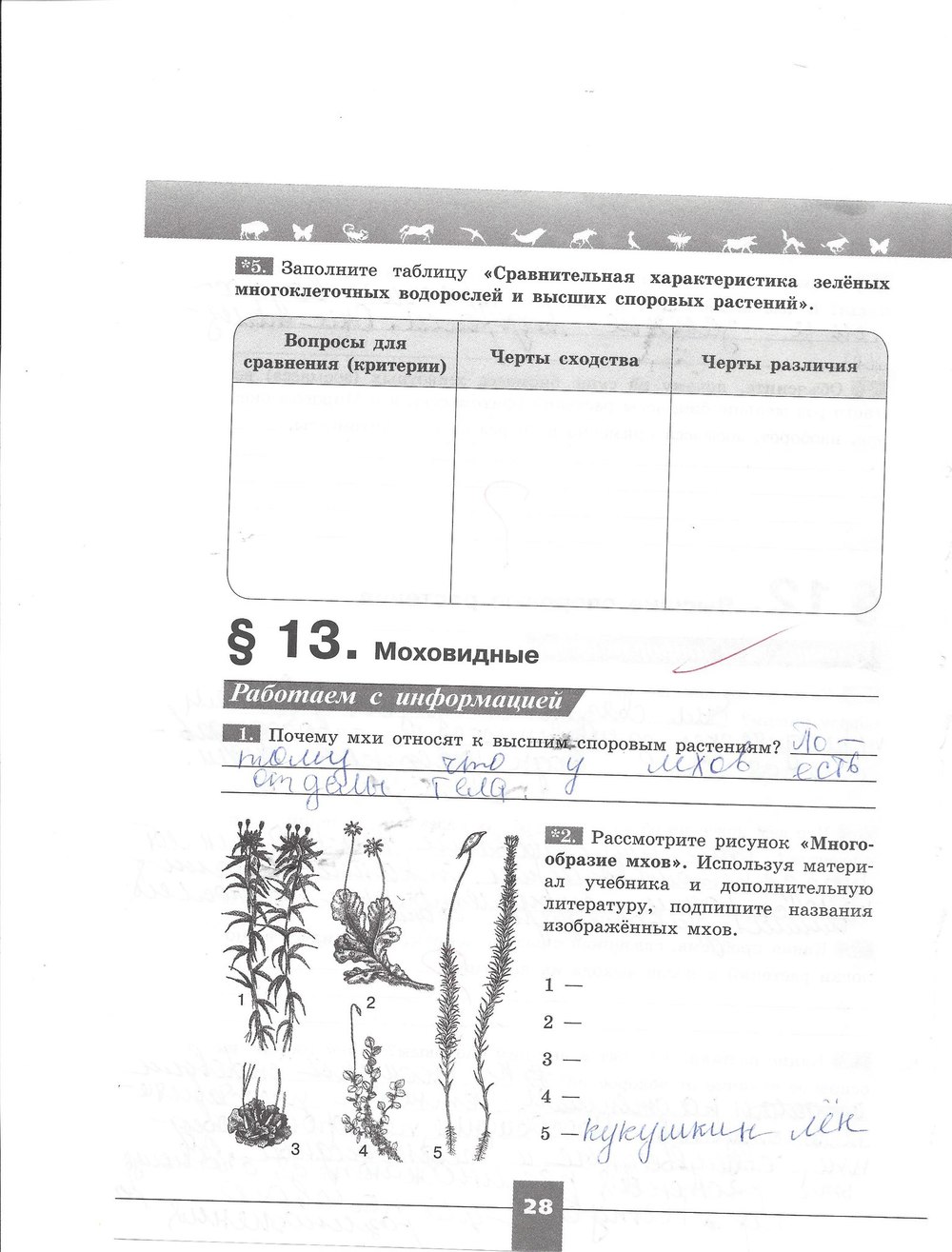гдз 7 класс рабочая тетрадь страница 28 биология Пасечник, Швецов