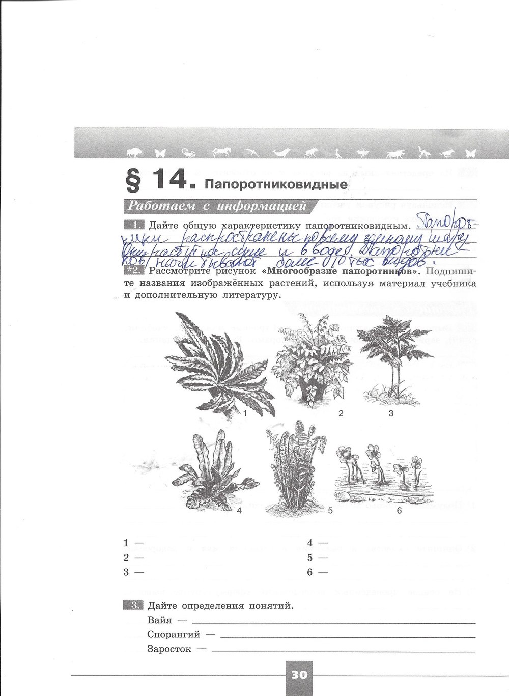 гдз 7 класс рабочая тетрадь страница 30 биология Пасечник, Швецов