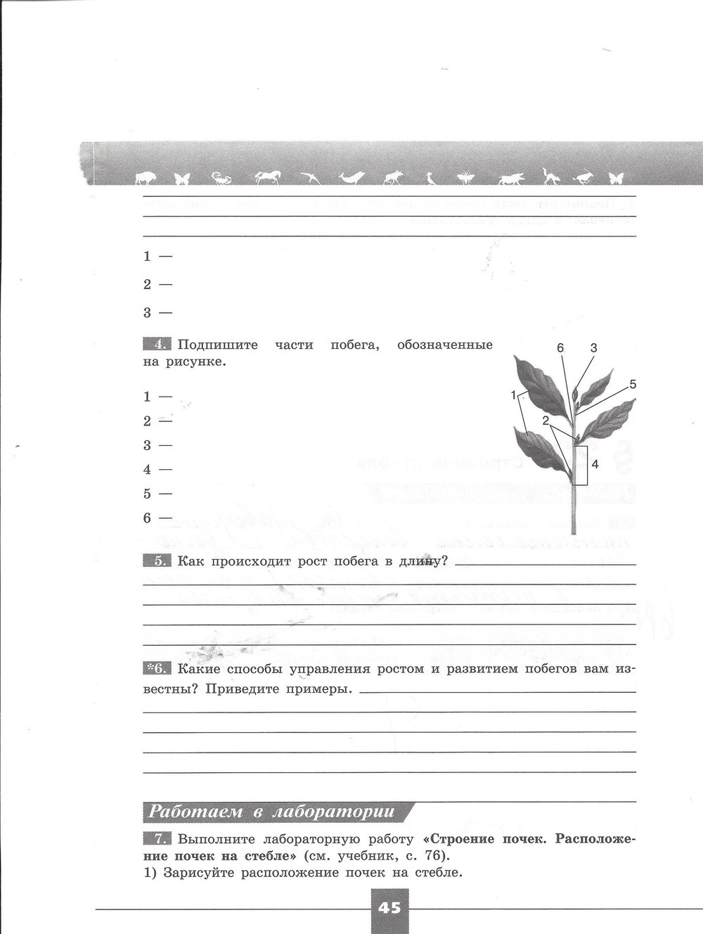 гдз 7 класс рабочая тетрадь страница 45 биология Пасечник, Швецов