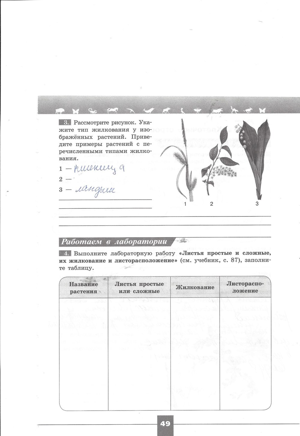 гдз 7 класс рабочая тетрадь страница 49 биология Пасечник, Швецов
