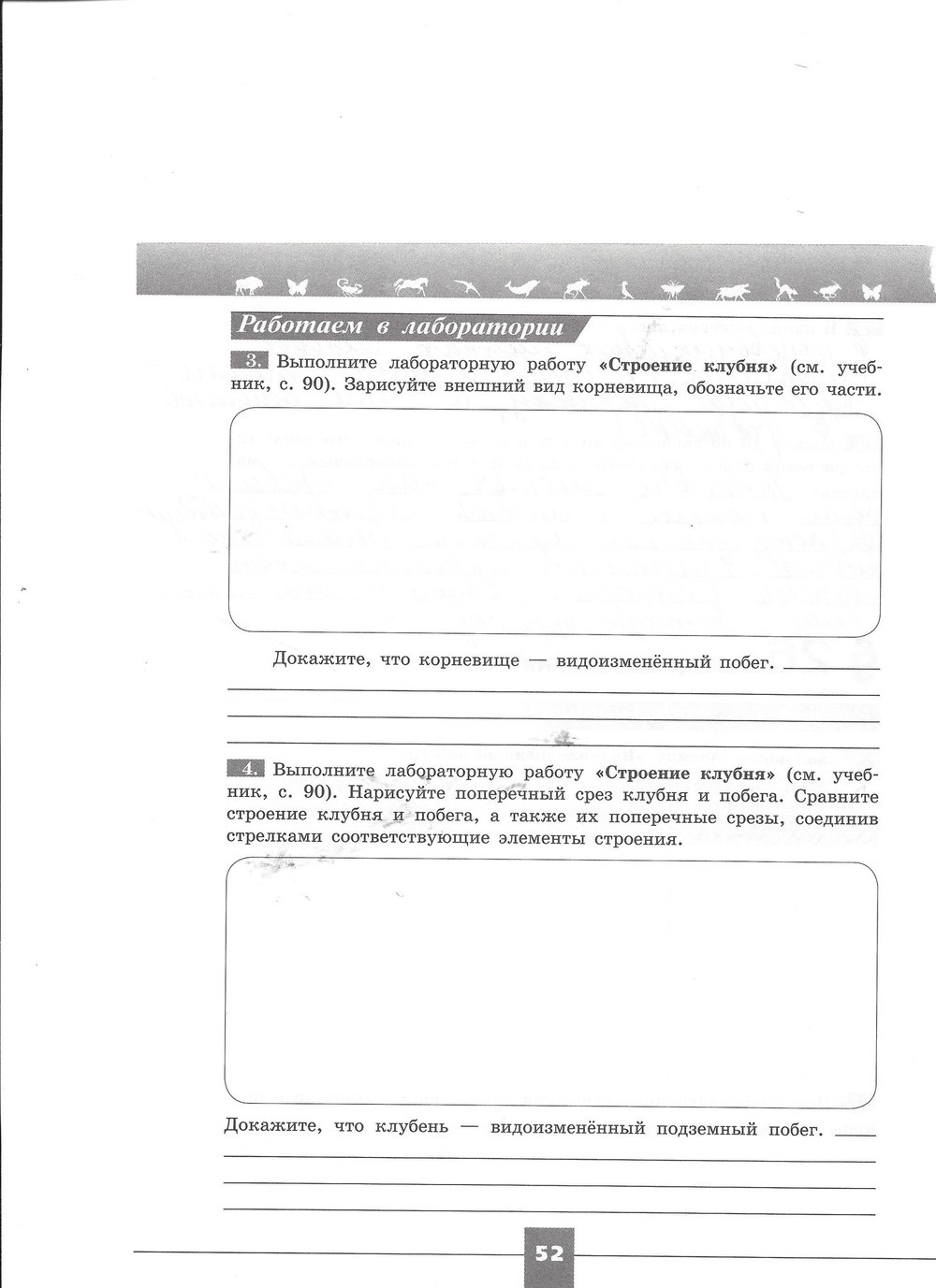 гдз 7 класс рабочая тетрадь страница 52 биология Пасечник, Швецов