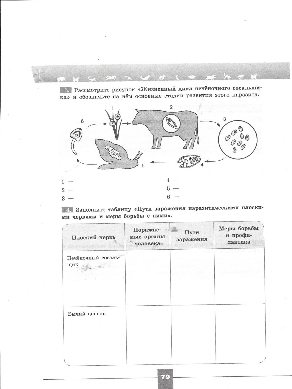 гдз 7 класс рабочая тетрадь страница 79 биология Пасечник, Швецов