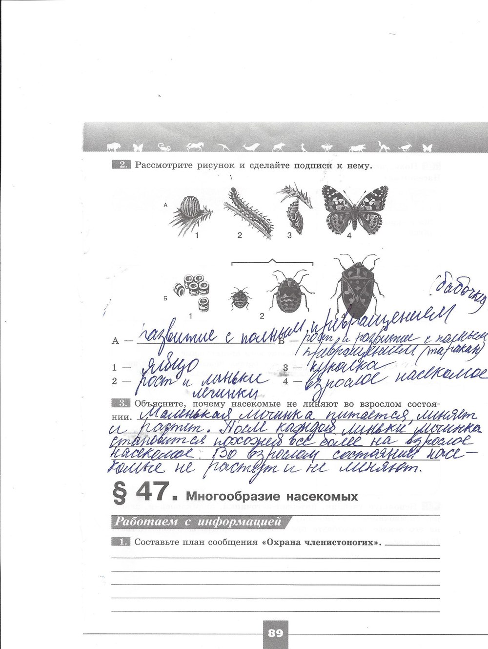 гдз 7 класс рабочая тетрадь страница 89 биология Пасечник, Швецов
