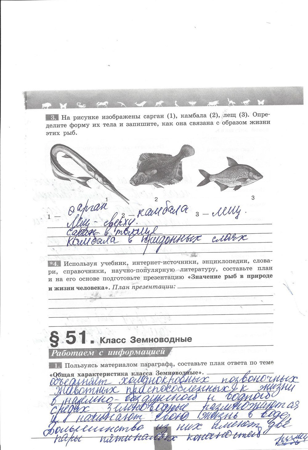 гдз 7 класс рабочая тетрадь страница 97 биология Пасечник, Швецов