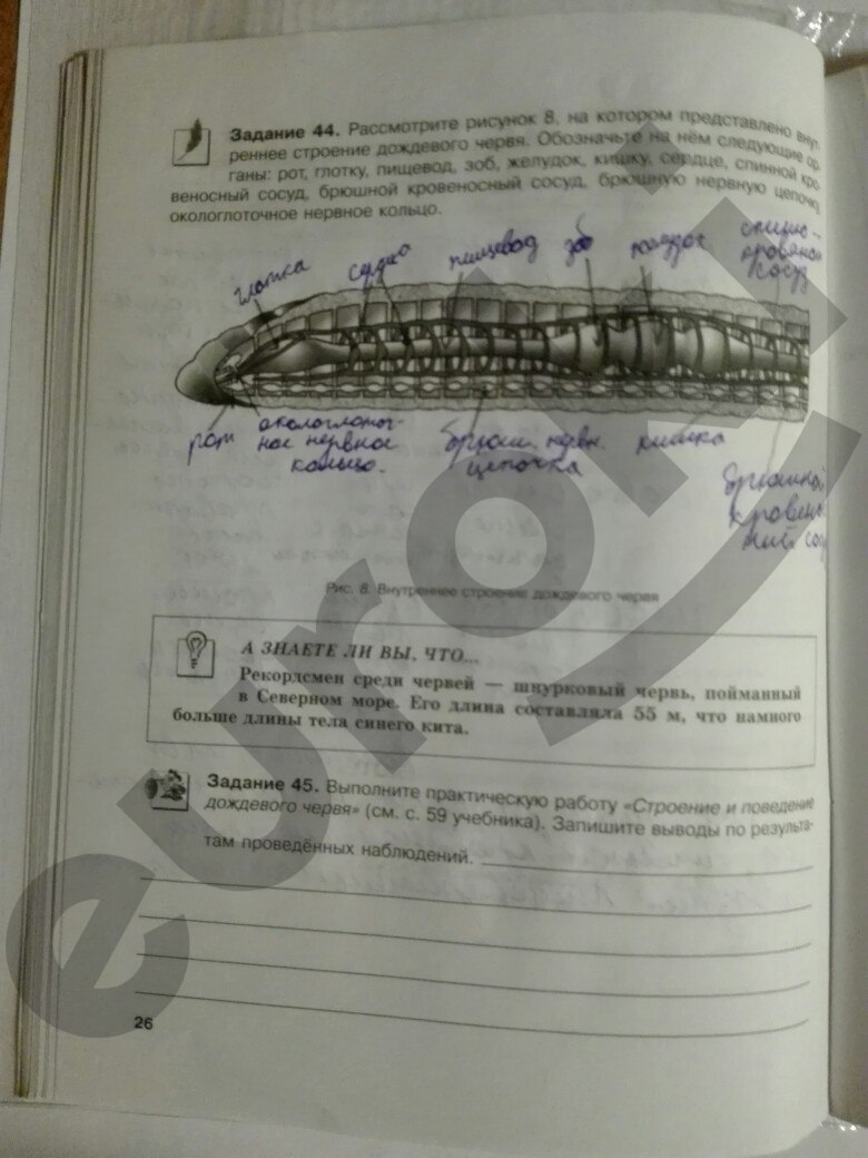 гдз 7 класс рабочая тетрадь страница 26 биология Суматохин