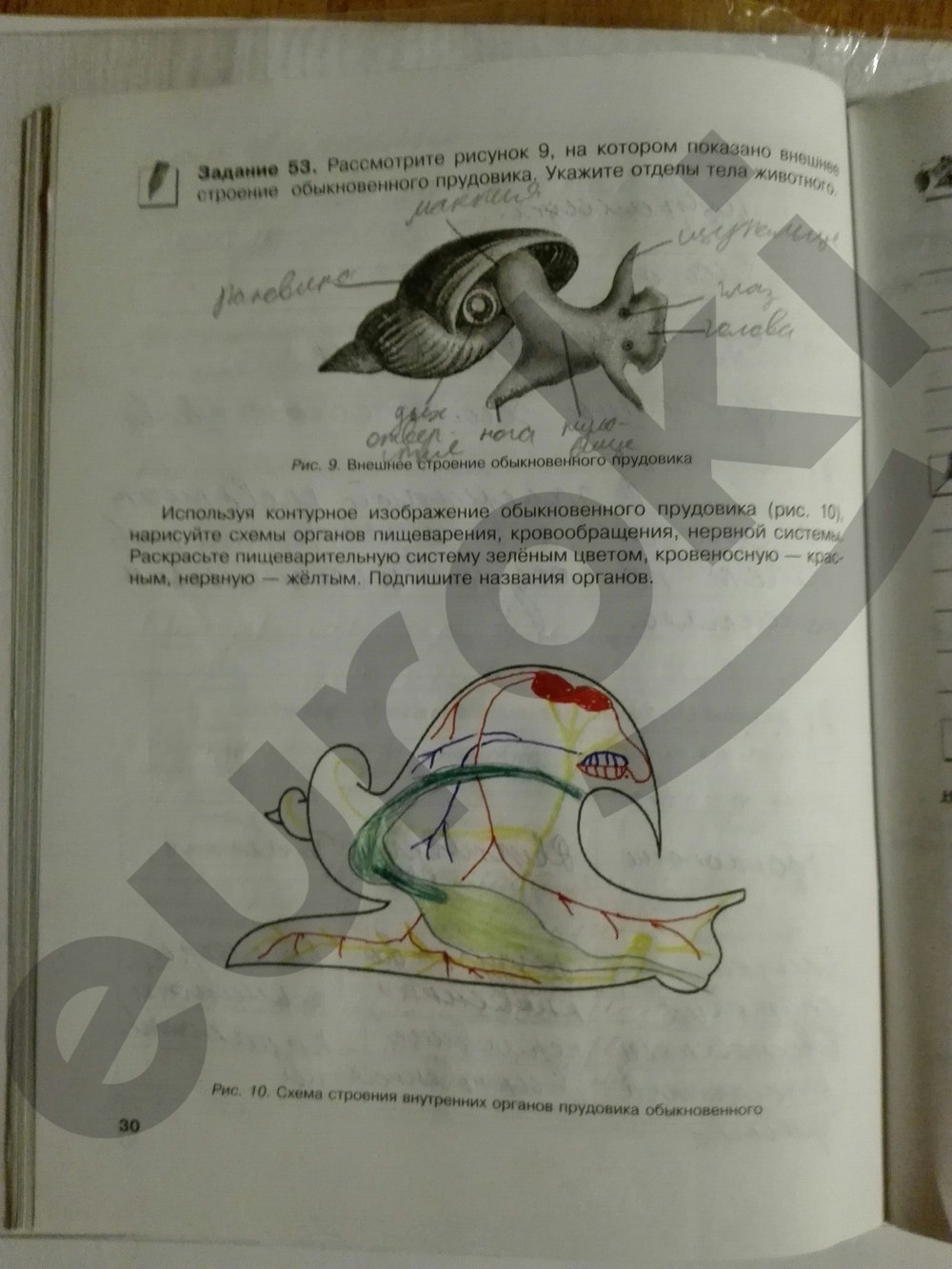 гдз 7 класс рабочая тетрадь страница 30 биология Суматохин