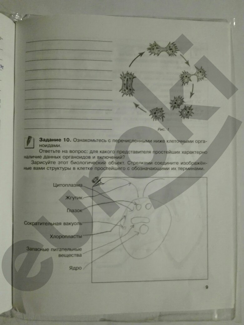 гдз 7 класс рабочая тетрадь страница 9 биология Суматохин