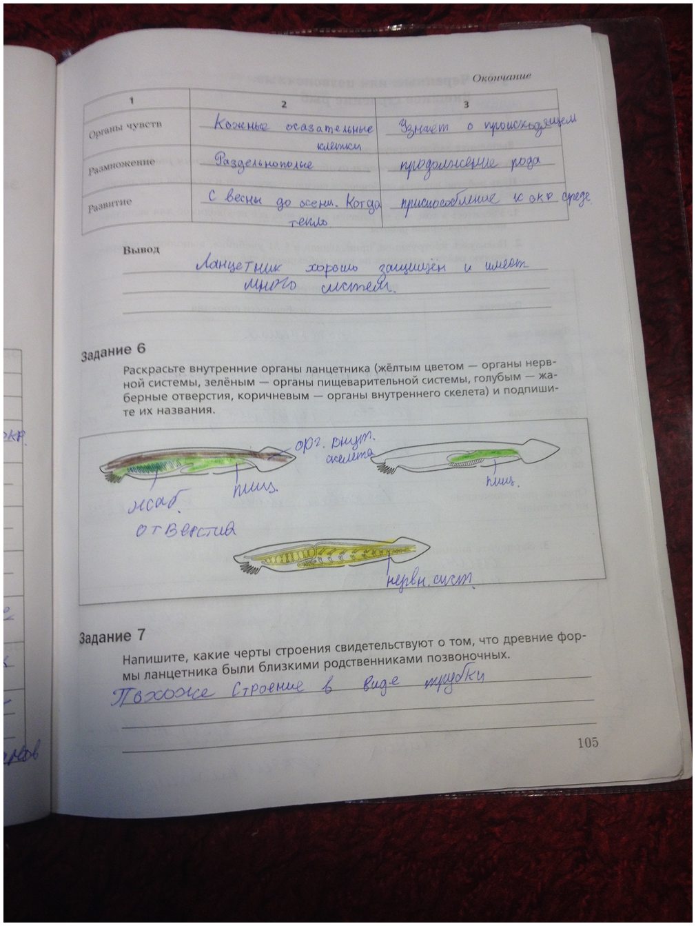 гдз 7 класс рабочая тетрадь часть 1 страница 105 биология Суматохин, Кучменко