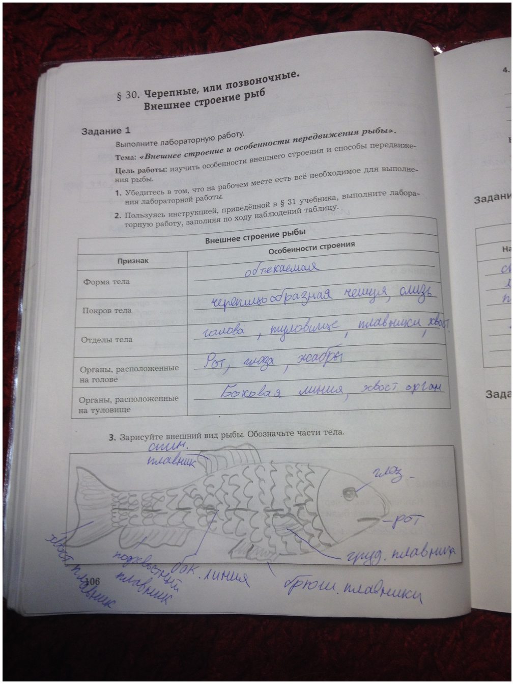 гдз 7 класс рабочая тетрадь часть 1 страница 106 биология Суматохин, Кучменко