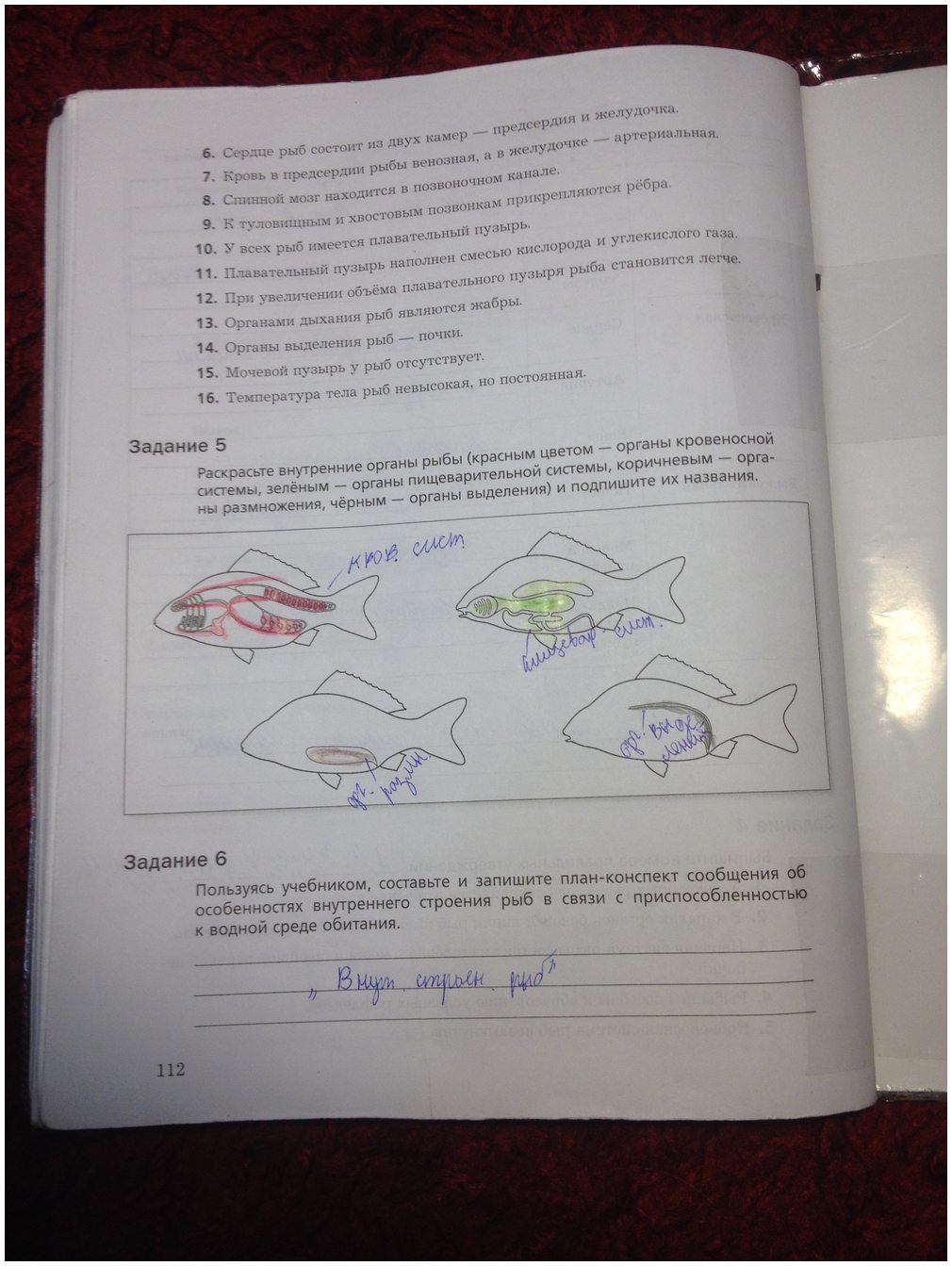гдз 7 класс рабочая тетрадь часть 1 страница 112 биология Суматохин, Кучменко