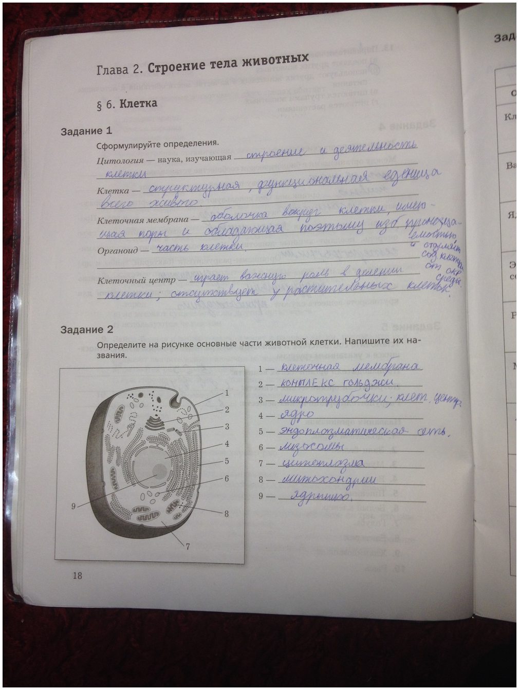 гдз 7 класс рабочая тетрадь часть 1 страница 18 биология Суматохин, Кучменко