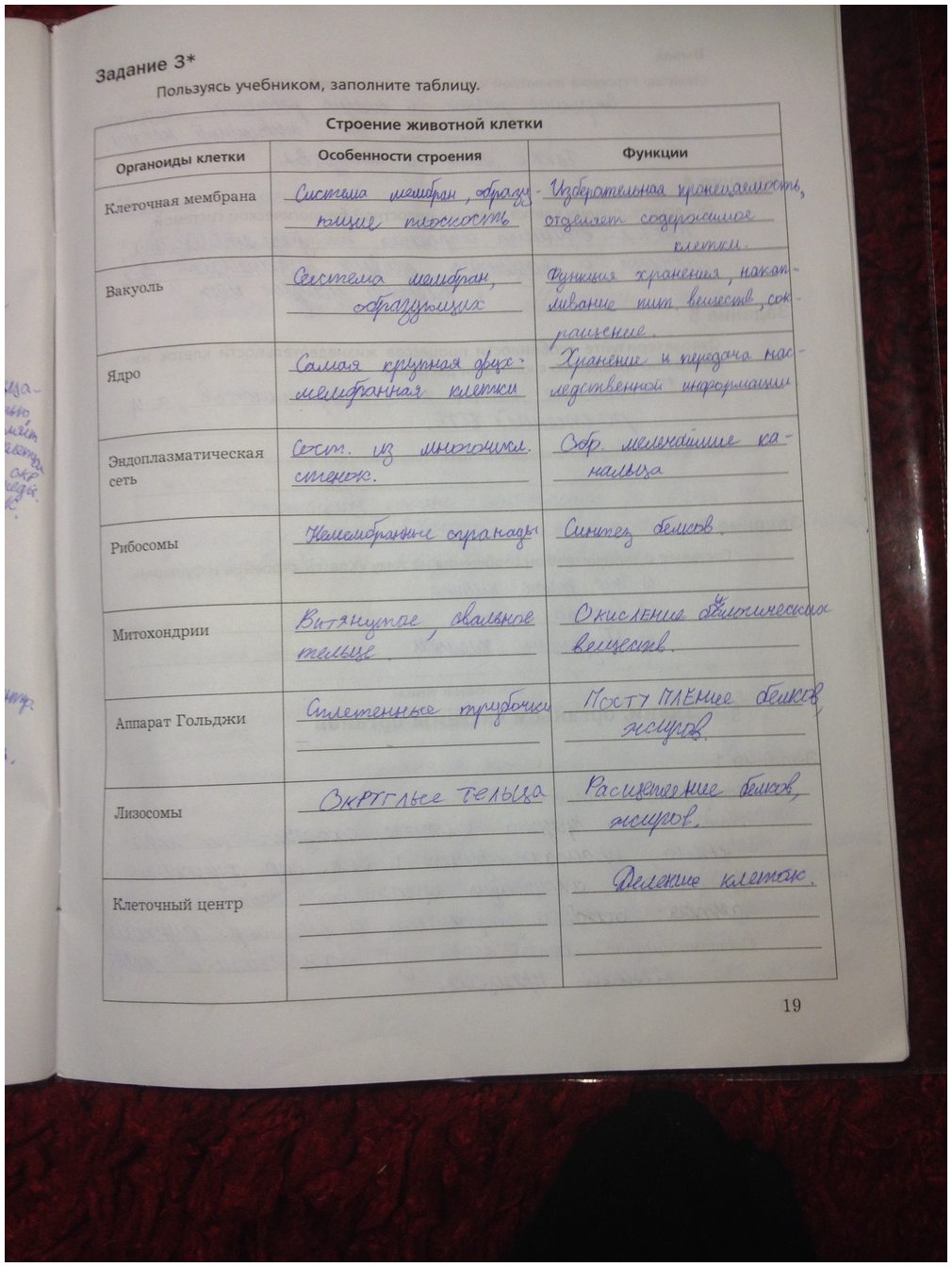 гдз 7 класс рабочая тетрадь часть 1 страница 19 биология Суматохин, Кучменко