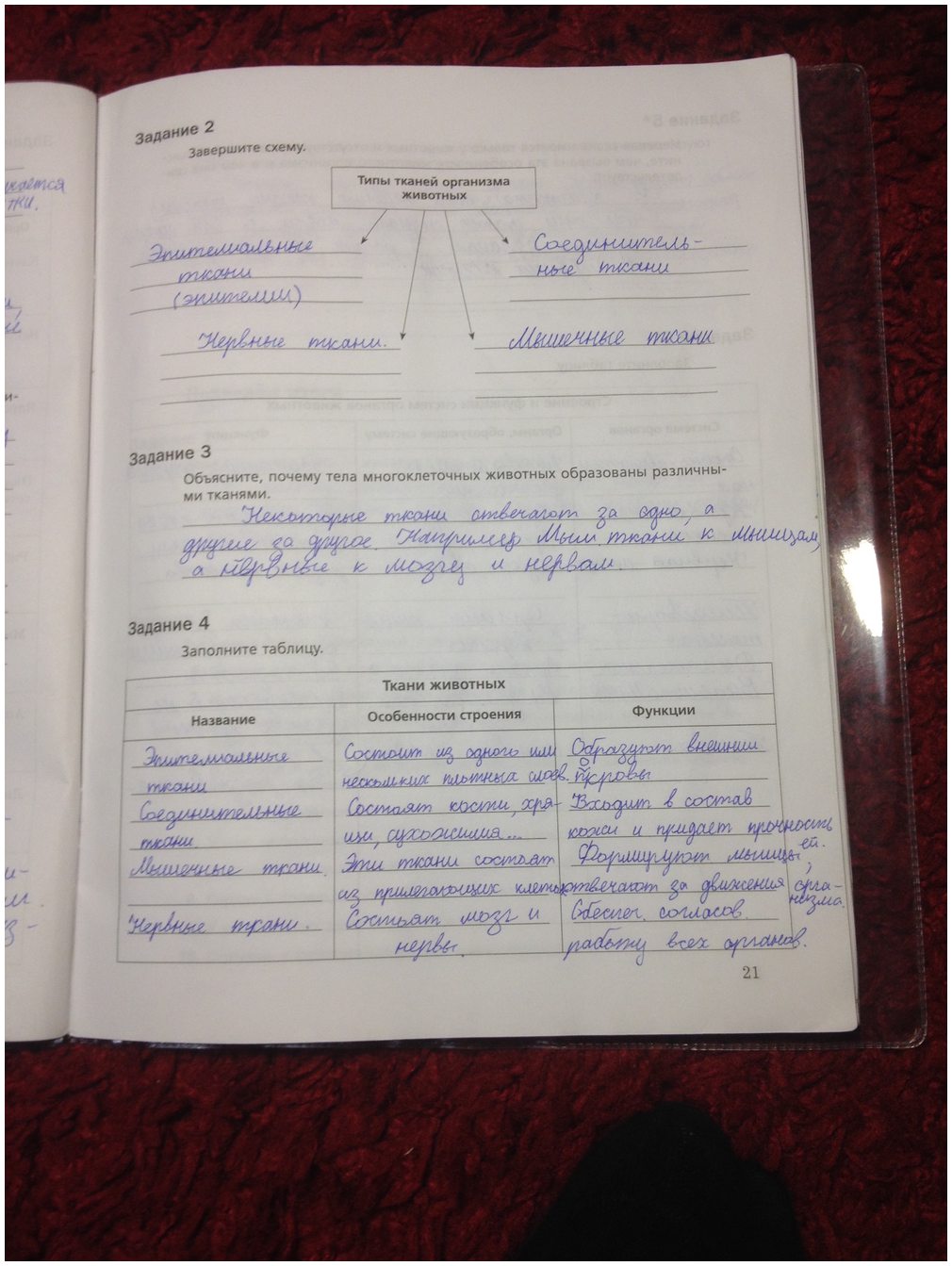 гдз 7 класс рабочая тетрадь часть 1 страница 21 биология Суматохин, Кучменко
