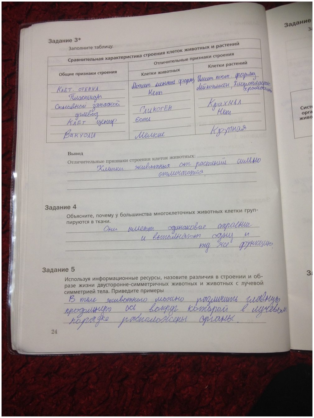 гдз 7 класс рабочая тетрадь часть 1 страница 24 биология Суматохин, Кучменко