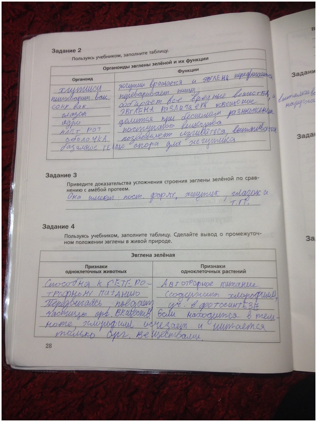 гдз 7 класс рабочая тетрадь часть 1 страница 28 биология Суматохин, Кучменко