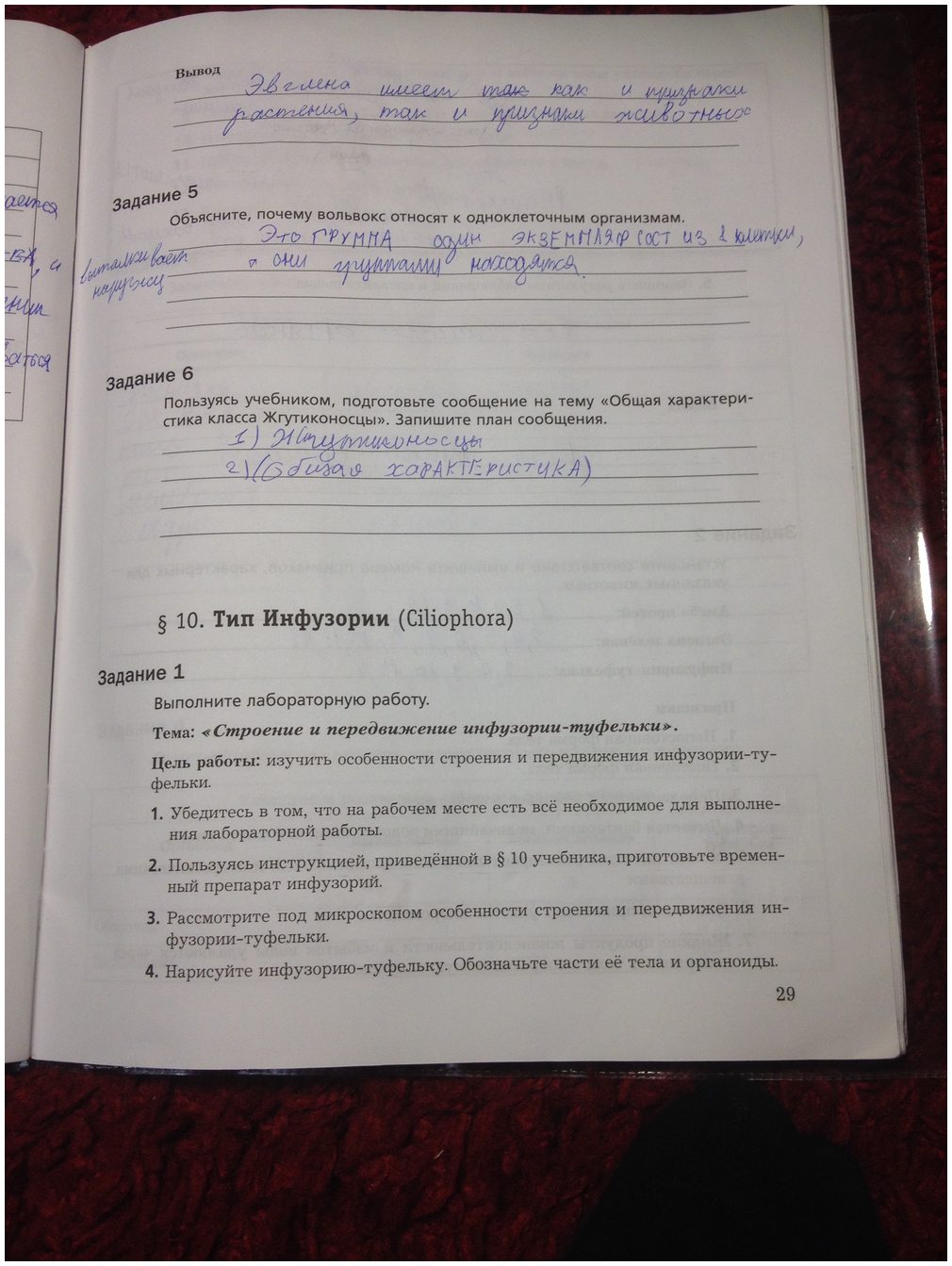 гдз 7 класс рабочая тетрадь часть 1 страница 29 биология Суматохин, Кучменко