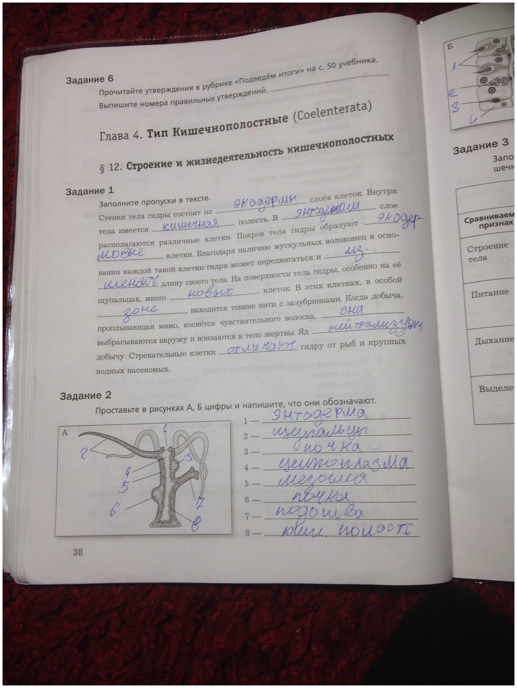 гдз 7 класс рабочая тетрадь часть 1 страница 38 биология Суматохин, Кучменко