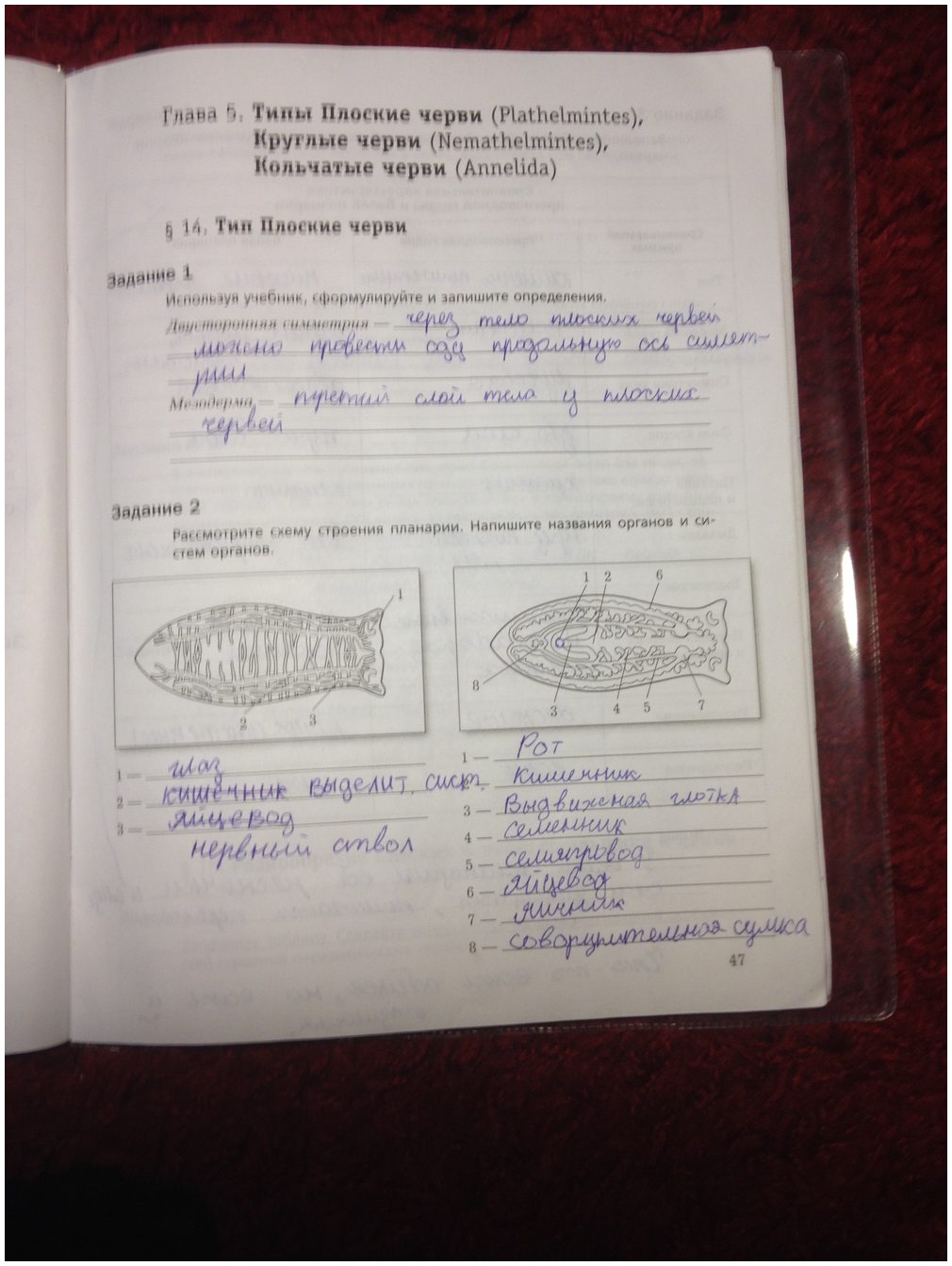 гдз 7 класс рабочая тетрадь часть 1 страница 47 биология Суматохин, Кучменко