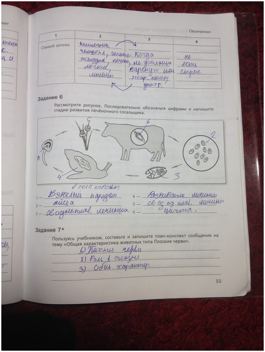 гдз 7 класс рабочая тетрадь часть 1 страница 53 биология Суматохин, Кучменко
