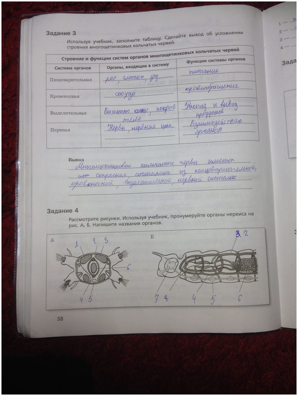 гдз 7 класс рабочая тетрадь часть 1 страница 58 биология Суматохин, Кучменко
