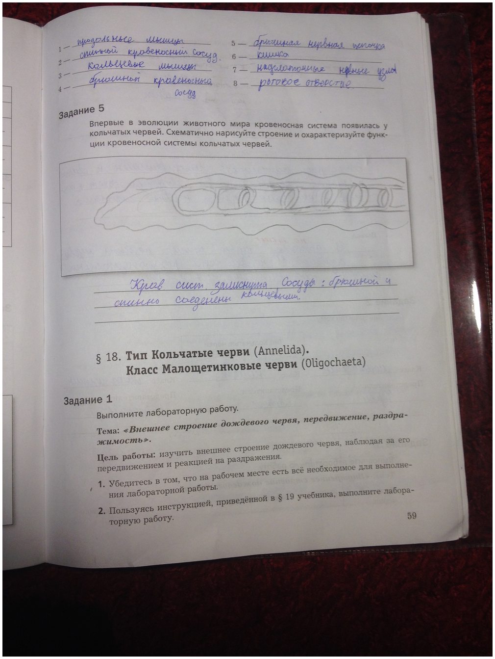 гдз 7 класс рабочая тетрадь часть 1 страница 59 биология Суматохин, Кучменко