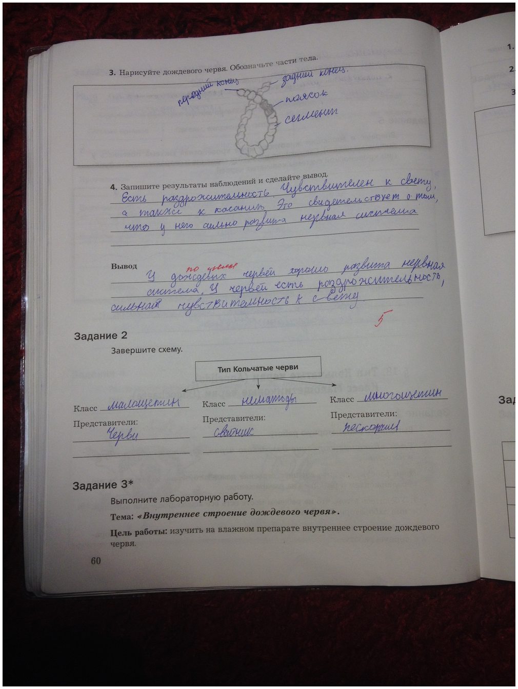 гдз 7 класс рабочая тетрадь часть 1 страница 60 биология Суматохин, Кучменко