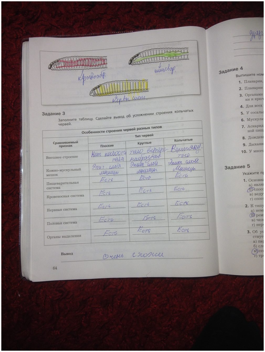 гдз 7 класс рабочая тетрадь часть 1 страница 64 биология Суматохин, Кучменко