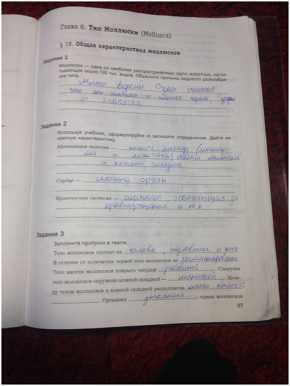 гдз 7 класс рабочая тетрадь часть 1 страница 67 биология Суматохин, Кучменко