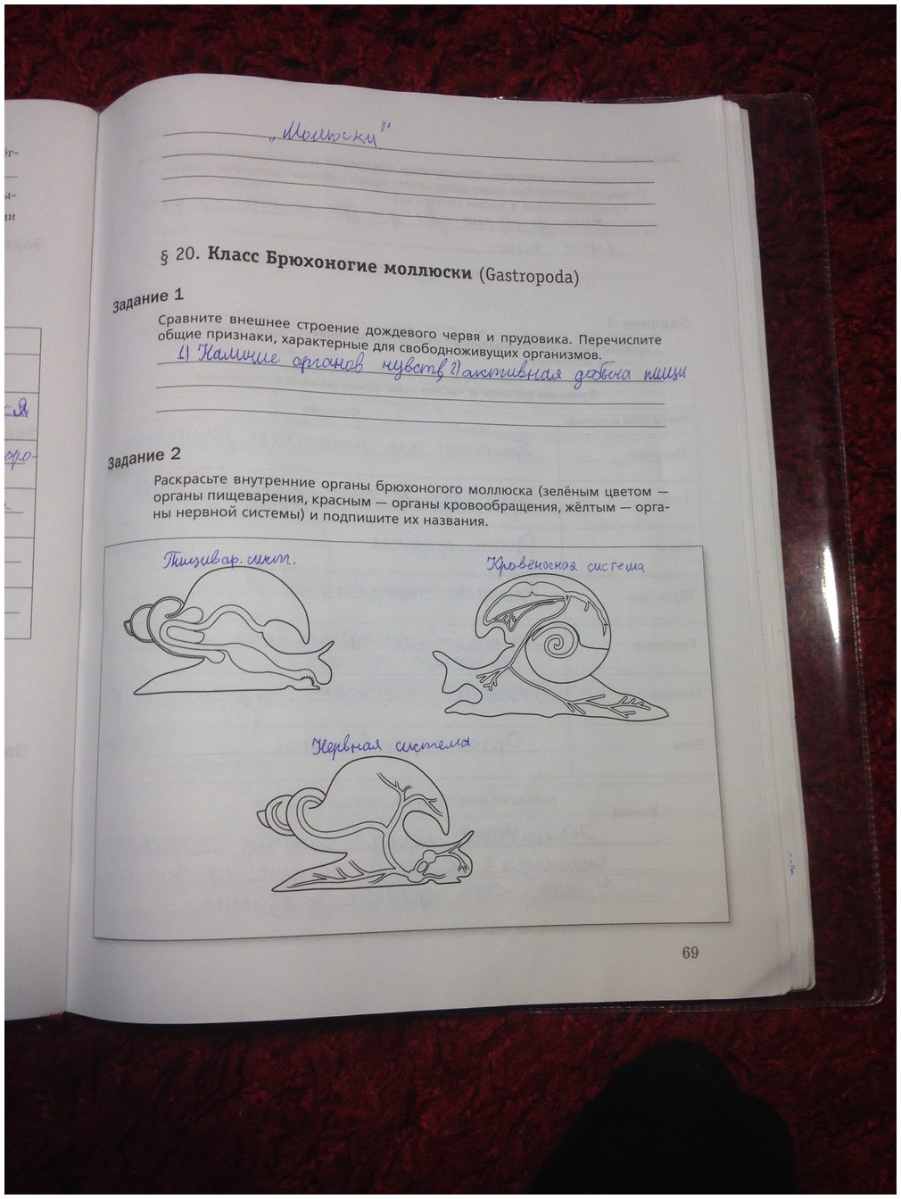 гдз 7 класс рабочая тетрадь часть 1 страница 69 биология Суматохин, Кучменко