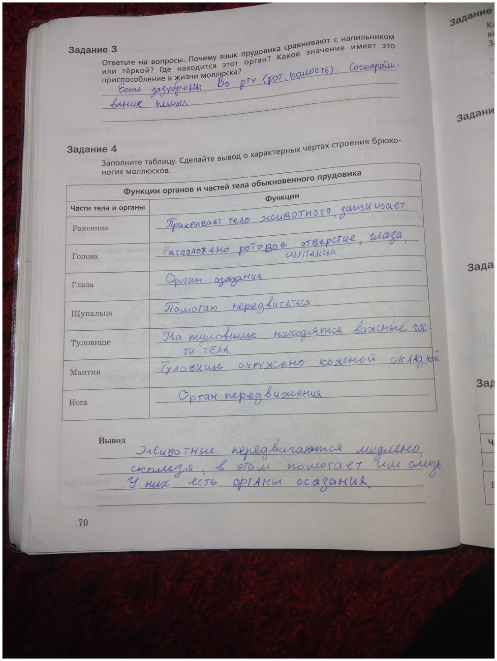 гдз 7 класс рабочая тетрадь часть 1 страница 70 биология Суматохин, Кучменко