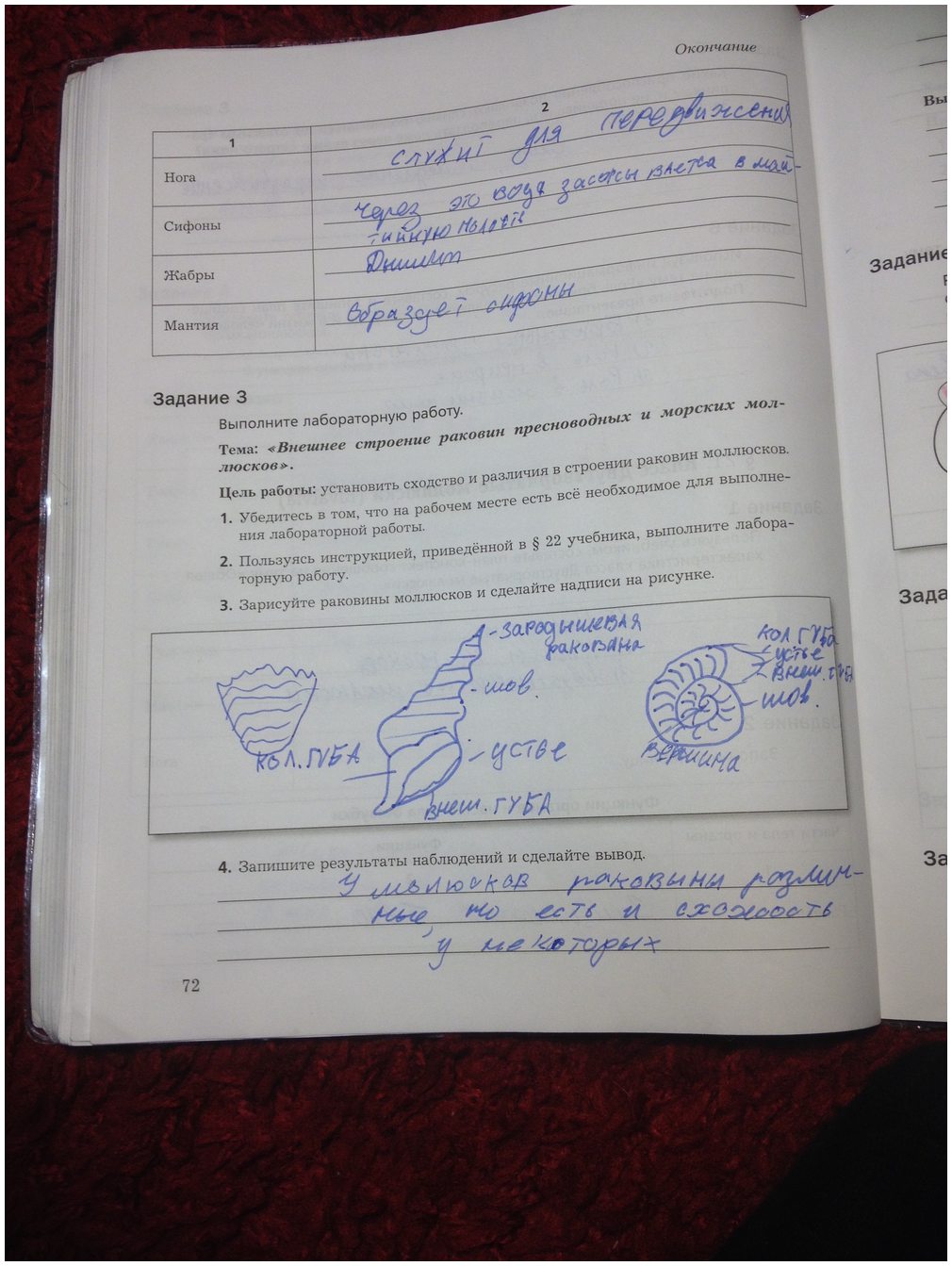 гдз 7 класс рабочая тетрадь часть 1 страница 72 биология Суматохин, Кучменко