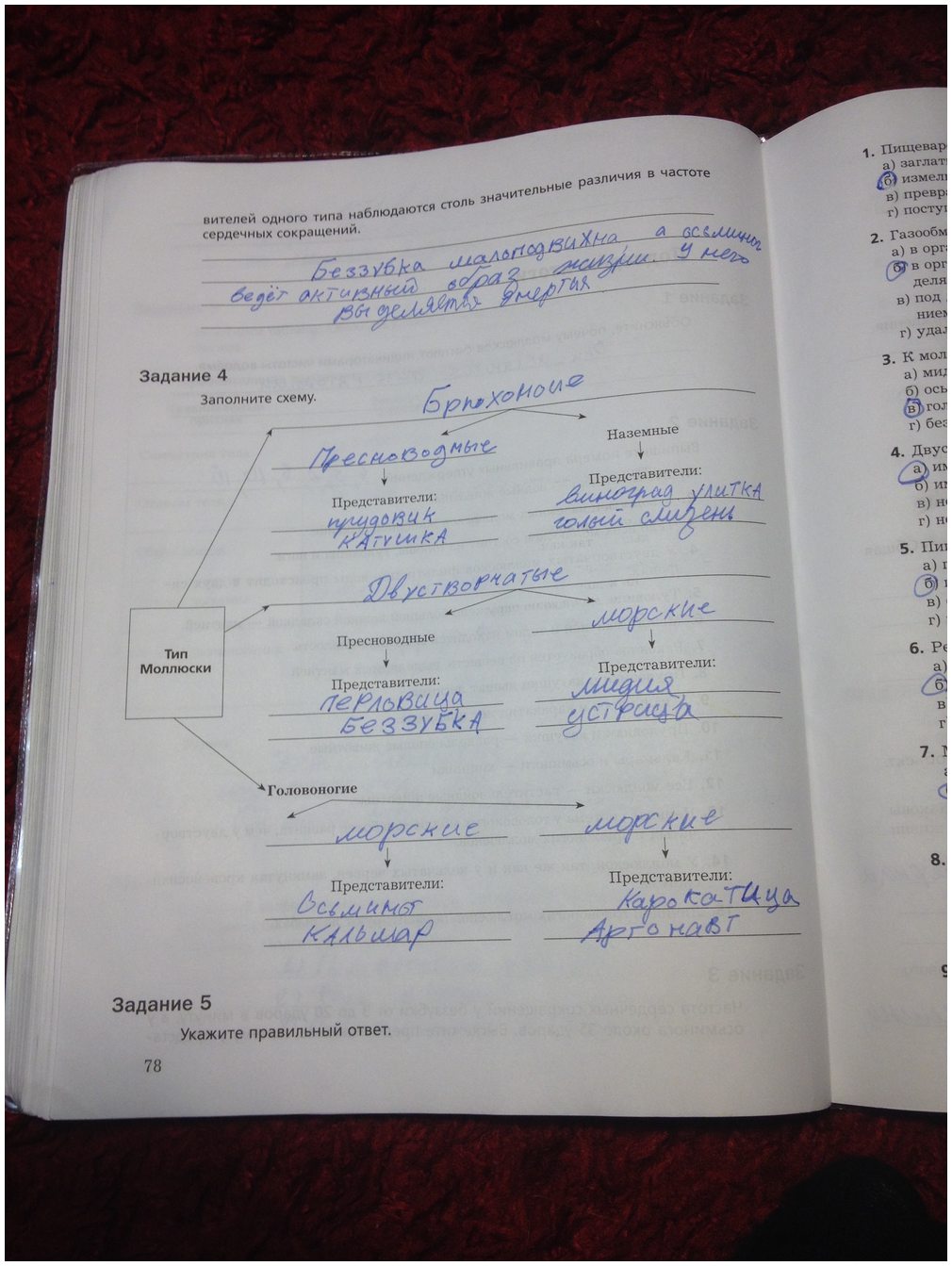 гдз 7 класс рабочая тетрадь часть 1 страница 78 биология Суматохин, Кучменко