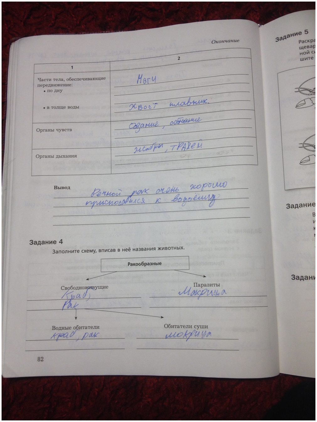 гдз 7 класс рабочая тетрадь часть 1 страница 82 биология Суматохин, Кучменко