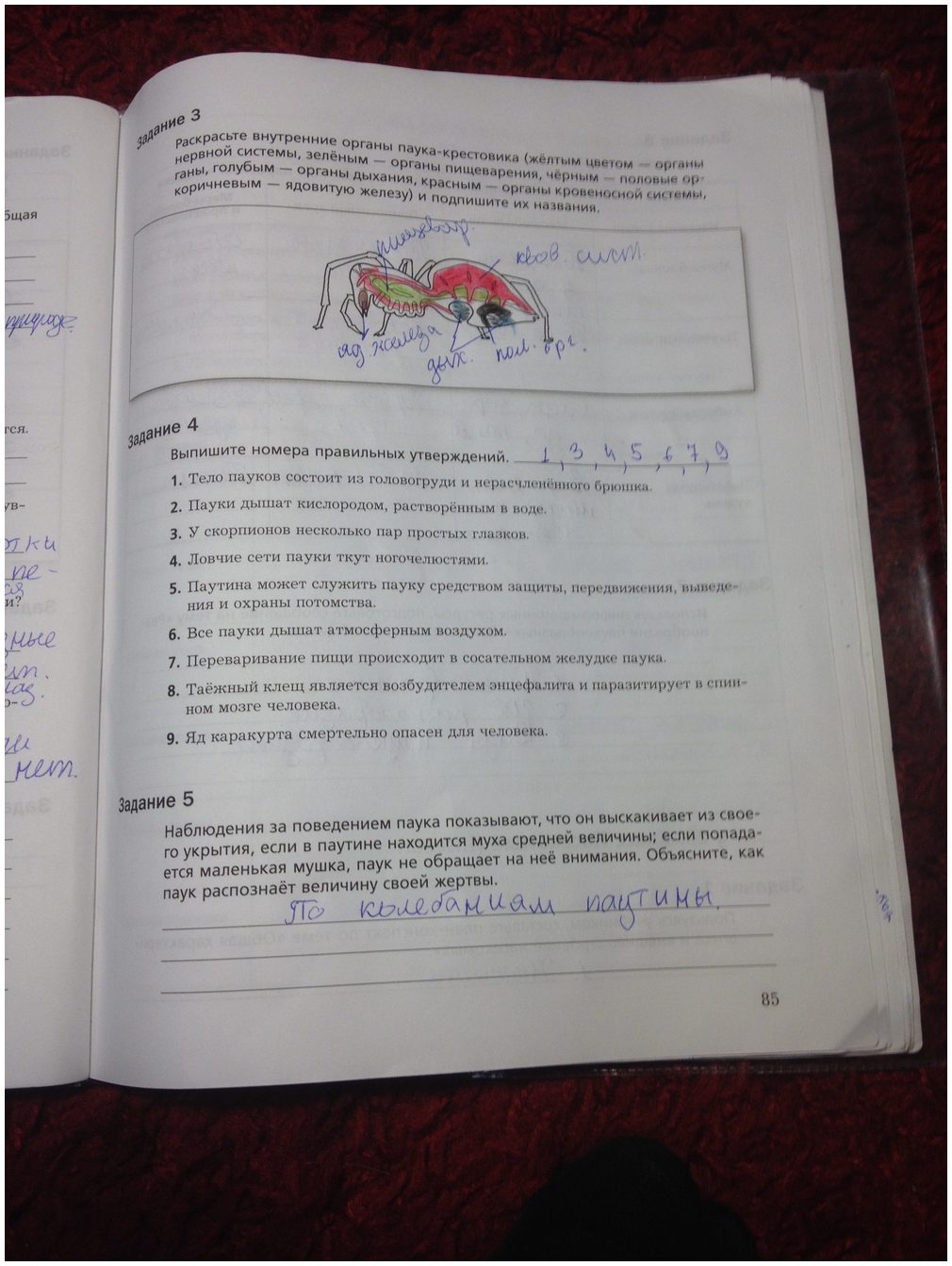 гдз 7 класс рабочая тетрадь часть 1 страница 85 биология Суматохин, Кучменко